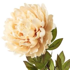 New ๐ 12 Pack: Cream Peony Stem by Ashland® ๐ 7 New ๐ 12 Pack: Cream Peony Stem by Ashland® ๐ -Ashland Sales MP402091 20