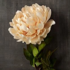 New ๐ 12 Pack: Cream Peony Stem by Ashland® ๐ 6 New ๐ 12 Pack: Cream Peony Stem by Ashland® ๐ -Ashland Sales MP402091 25