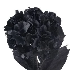 Discount ❤️ 12 Pack: Black Hydrangea Stem by Ashland® 👍 -Ashland Sales MP402858 20
