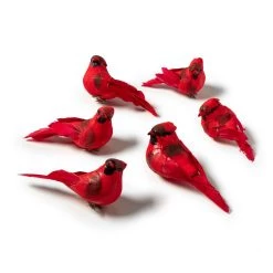 Brand new 🌟 8 Packs: 6 ct. (48 total) Red Cardinal Set by Ashland® 😉 -Ashland Sales MP407691 21
