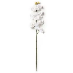 Brand new 😀 16 Pack: White Moth Orchid Stem by Ashland® 💯 7 Brand new 😀 16 Pack: White Moth Orchid Stem by Ashland® 💯 -Ashland Sales MP413038 21