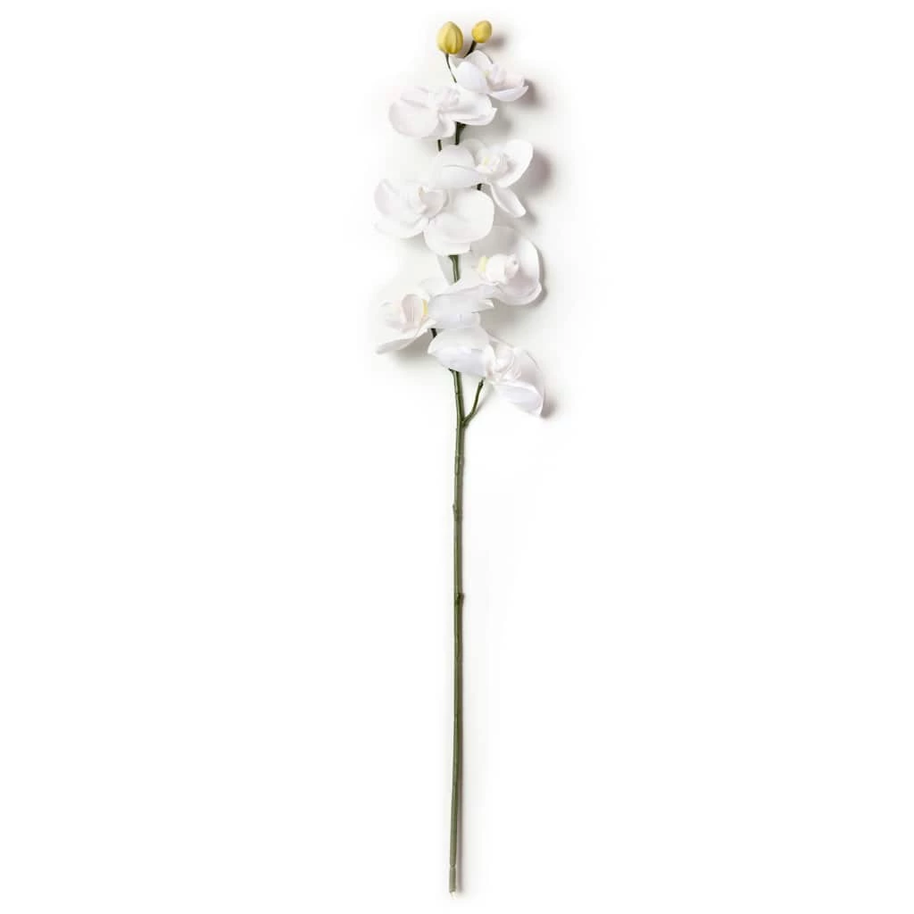 Brand new 😀 16 Pack: White Moth Orchid Stem by Ashland® 💯 4 Brand new 😀 16 Pack: White Moth Orchid Stem by Ashland® 💯 - Image 2