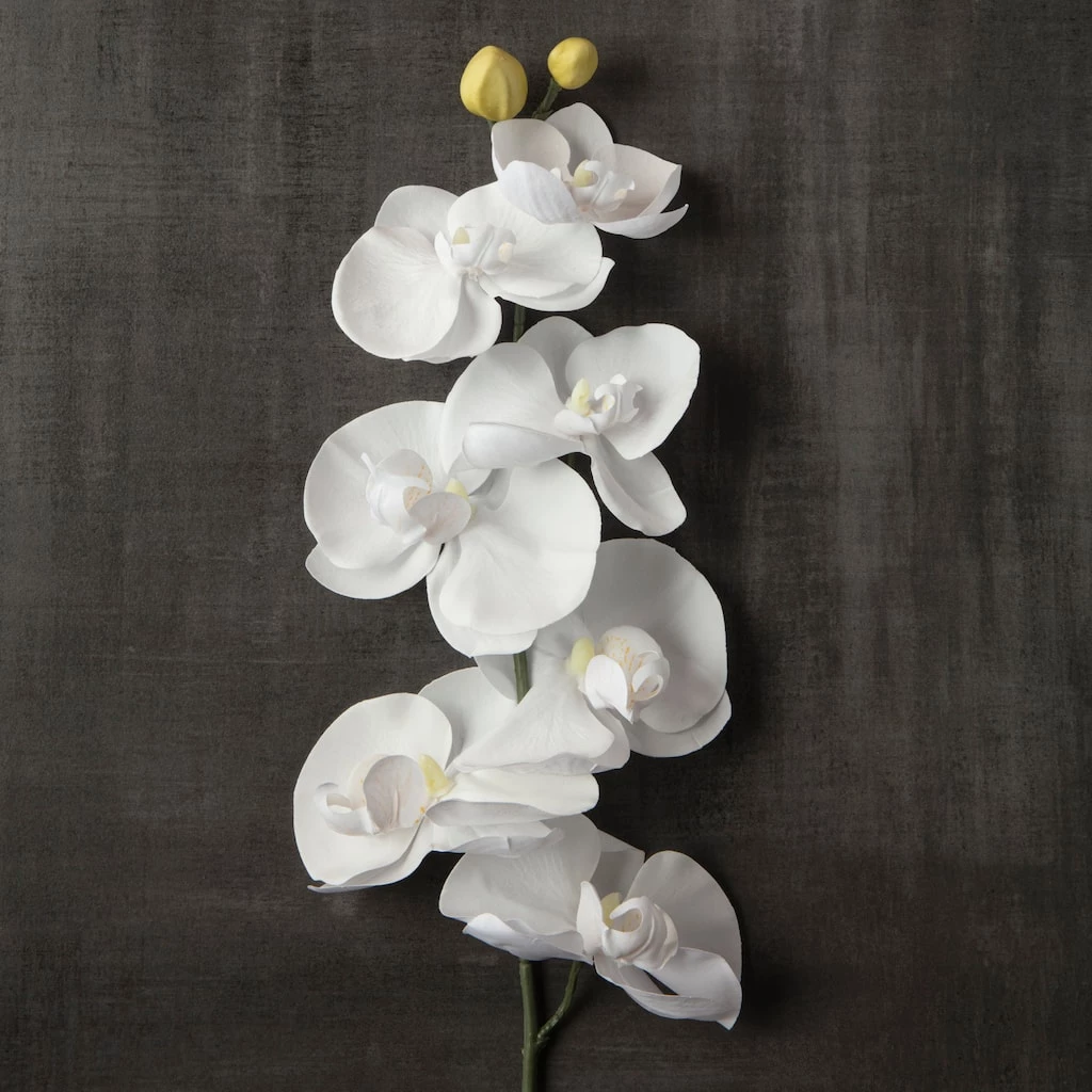 Brand new 😀 16 Pack: White Moth Orchid Stem by Ashland® 💯 5 Brand new 😀 16 Pack: White Moth Orchid Stem by Ashland® 💯 - Image 3