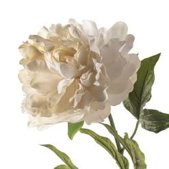 New 🛒 12 Pack: White Peony Spray by Ashland® 👏 -Ashland Sales MP430216 20