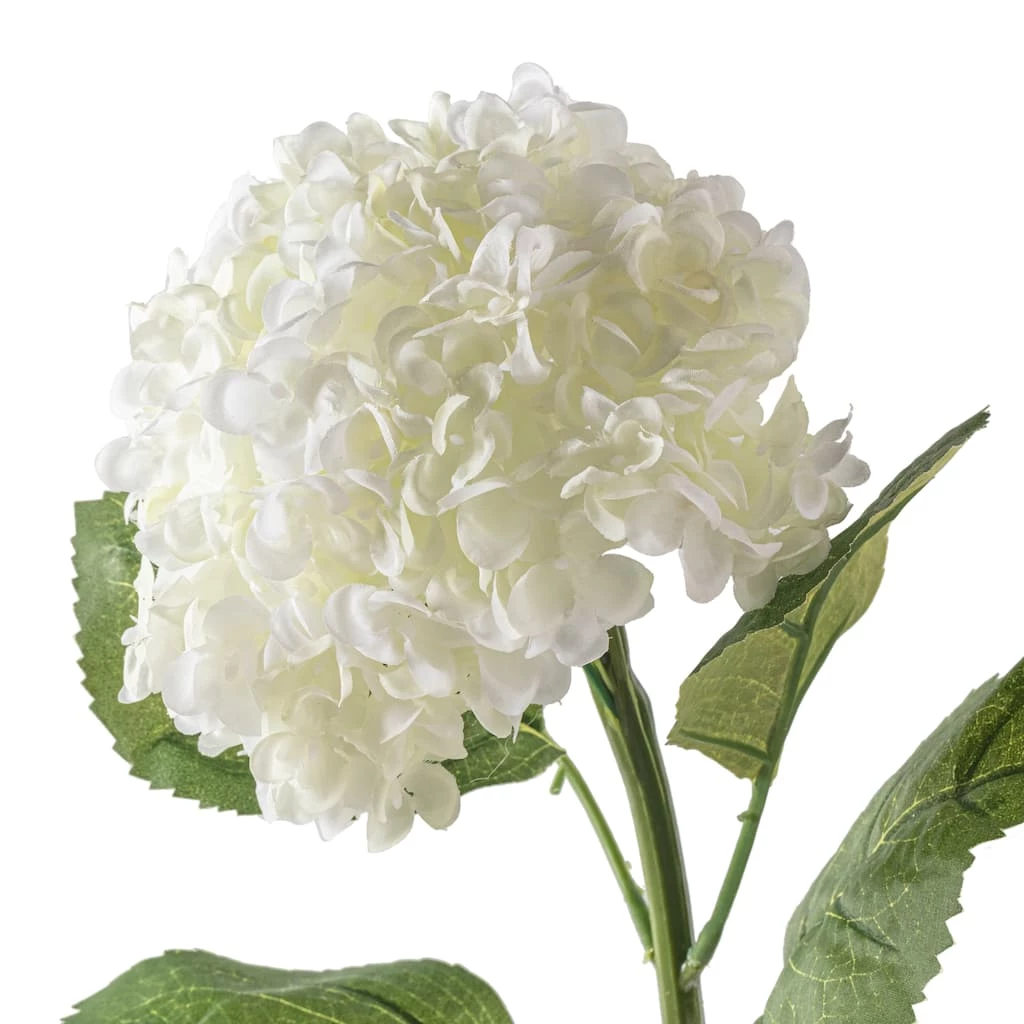 Brand new ✨ 8 Pack: Cream Hydrangea Stem by Ashland® ❤️ 6 Brand new ✨ 8 Pack: Cream Hydrangea Stem by Ashland® ❤️ - Image 4