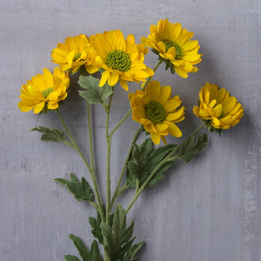 Cheap ๐ 12 Pack: Gold Daisy Mum Spray by Ashland® ๐งจ 6 Cheap ๐ 12 Pack: Gold Daisy Mum Spray by Ashland® ๐งจ - Image 4