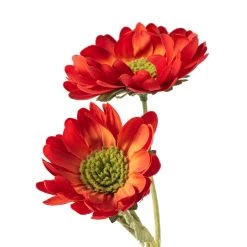 Cheap 🔔 12 Pack: Rust Daisy Mum Spray by Ashland® 😉 -Ashland Sales MP430309 20