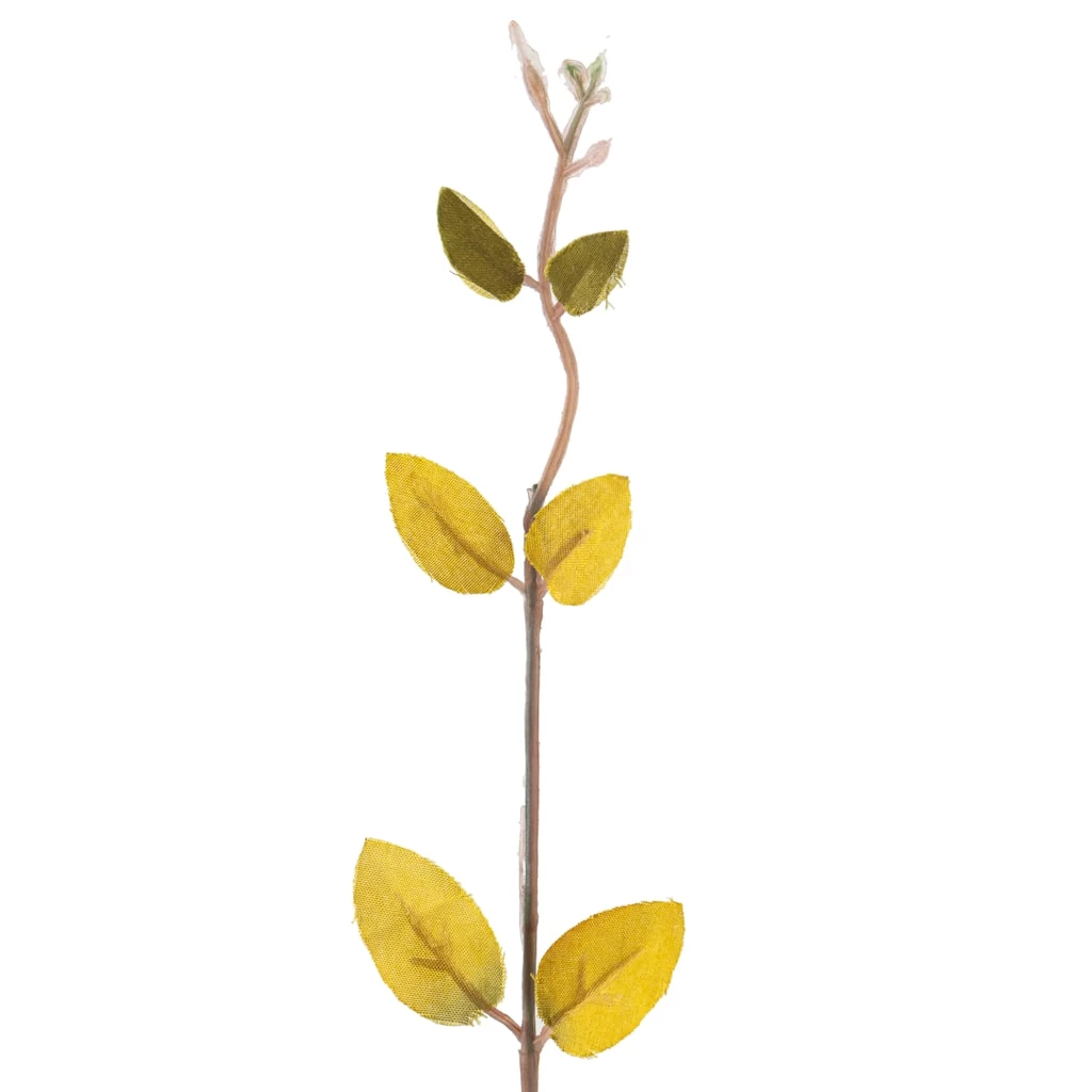 Hot Sale ❤️ 12 Pack: Honeysuckle Leaf Spray by Ashland® 🌟 5 Hot Sale ❤️ 12 Pack: Honeysuckle Leaf Spray by Ashland® 🌟 - Image 3