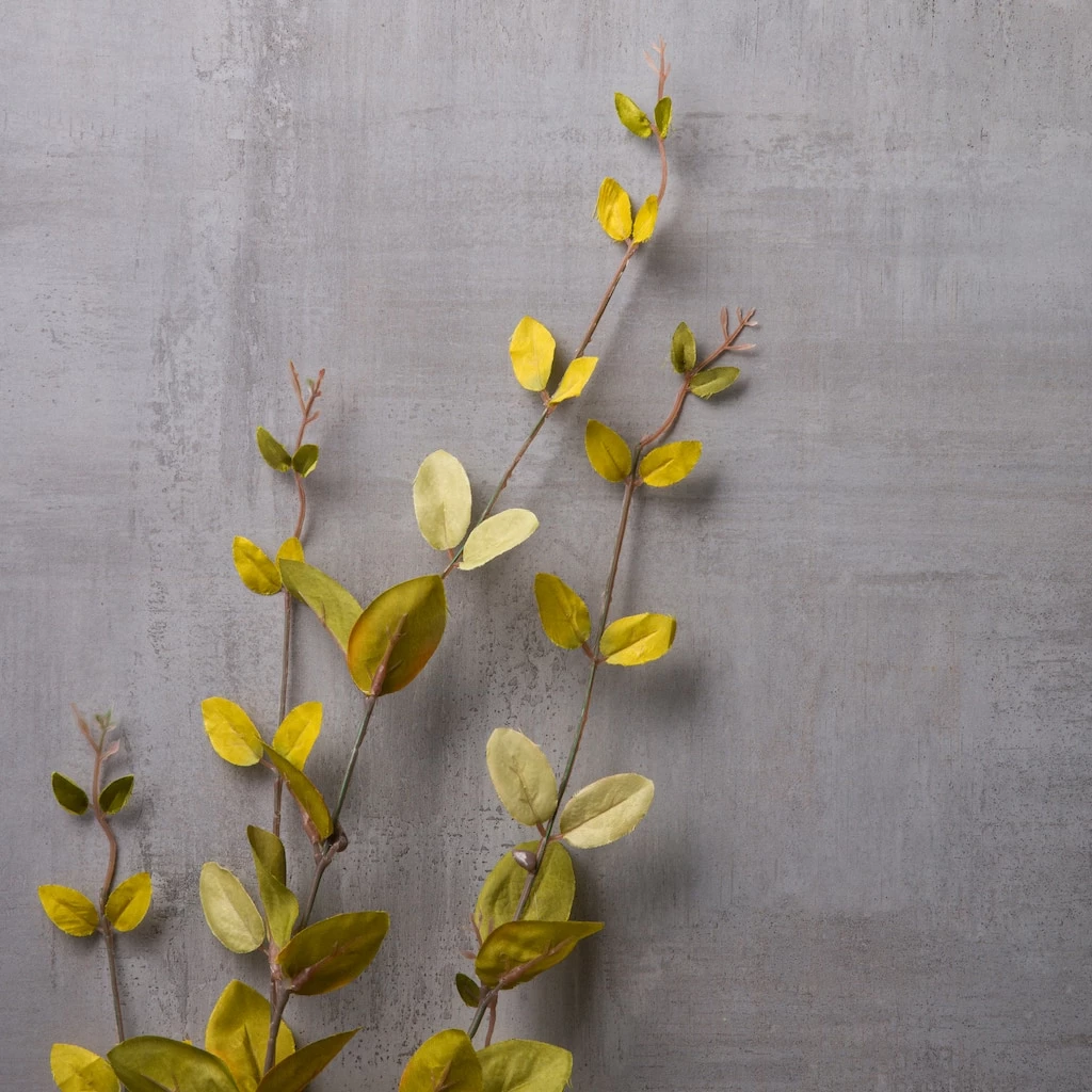 Hot Sale ❤️ 12 Pack: Honeysuckle Leaf Spray by Ashland® 🌟 6 Hot Sale ❤️ 12 Pack: Honeysuckle Leaf Spray by Ashland® 🌟 - Image 4