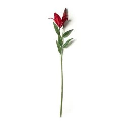 Wholesale 🤩 12 Pack: Red Casablanca Lily Stem by Ashland® 👍 -Ashland Sales MP430444 21