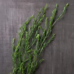 Cheap 🎉 12 Pack: Green Trailing Grass Spray by Ashland® 😉 -Ashland Sales MP449806 22