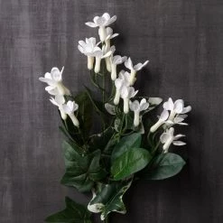 Best deal 🎁 12 Pack: White Rhinestone Stephanotis Spray by Ashland® 🎁 -Ashland Sales MP450083 22