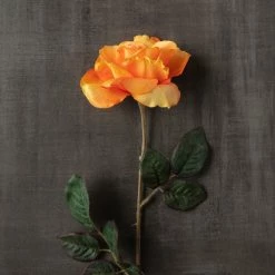 Hot Sale 🔥 12 Pack: Salmon Rose Stem by Ashland® 💯 -Ashland Sales MP450088 25