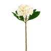 Deals 👏 12 Pack: White Frangipani Stem by Ashland® 👍 -Ashland Sales MP450428 1