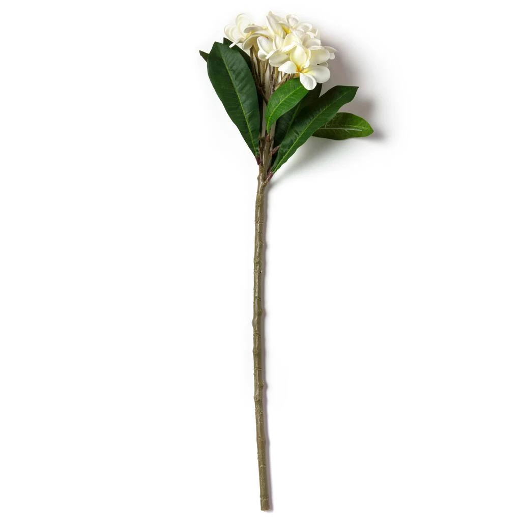 Deals 👏 12 Pack: White Frangipani Stem by Ashland® 👍 6 Deals 👏 12 Pack: White Frangipani Stem by Ashland® 👍 - Image 4