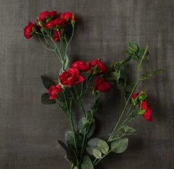 Cheapest 🛒 12 Pack: Dark Red Kate Rose Spray by Ashland® 😀 -Ashland Sales MP451131 25