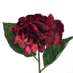 Budget 🎁 12 Pack: Burgundy Hydrangea Stem by Ashland® ⭐ -Ashland Sales MP451148 20