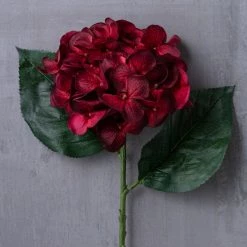 Budget 🎁 12 Pack: Burgundy Hydrangea Stem by Ashland® ⭐ -Ashland Sales MP451148 22