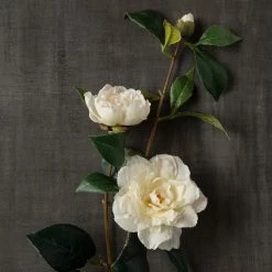Coupon 🌟 6 Pack: White Camellia Spray by Ashland® 🧨 -Ashland Sales MP451150 25