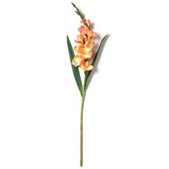 New 💯 12 Pack: Salmon Gladiolus Stem by Ashland® ✨ -Ashland Sales MP451152 21