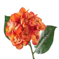 Flash Sale 🎁 12 Pack: Orange Hydrangea Stem by Ashland® 😉 7 Flash Sale 🎁 12 Pack: Orange Hydrangea Stem by Ashland® 😉 -Ashland Sales MP451157 20