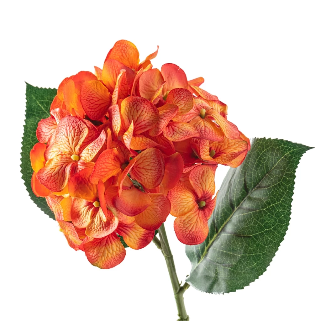 Flash Sale 🎁 12 Pack: Orange Hydrangea Stem by Ashland® 😉 4 Flash Sale 🎁 12 Pack: Orange Hydrangea Stem by Ashland® 😉 - Image 2