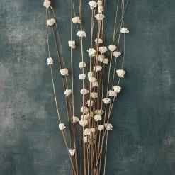 Outlet 🥰 6 Pack: Natural Ting Branches with Sola Flowers by Ashland® ✨ -Ashland Sales MP454596 20