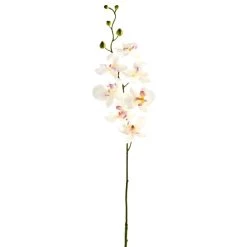 Best deal π 12 Pack: Cream & Pink Orchid Spray by Ashland® π€©