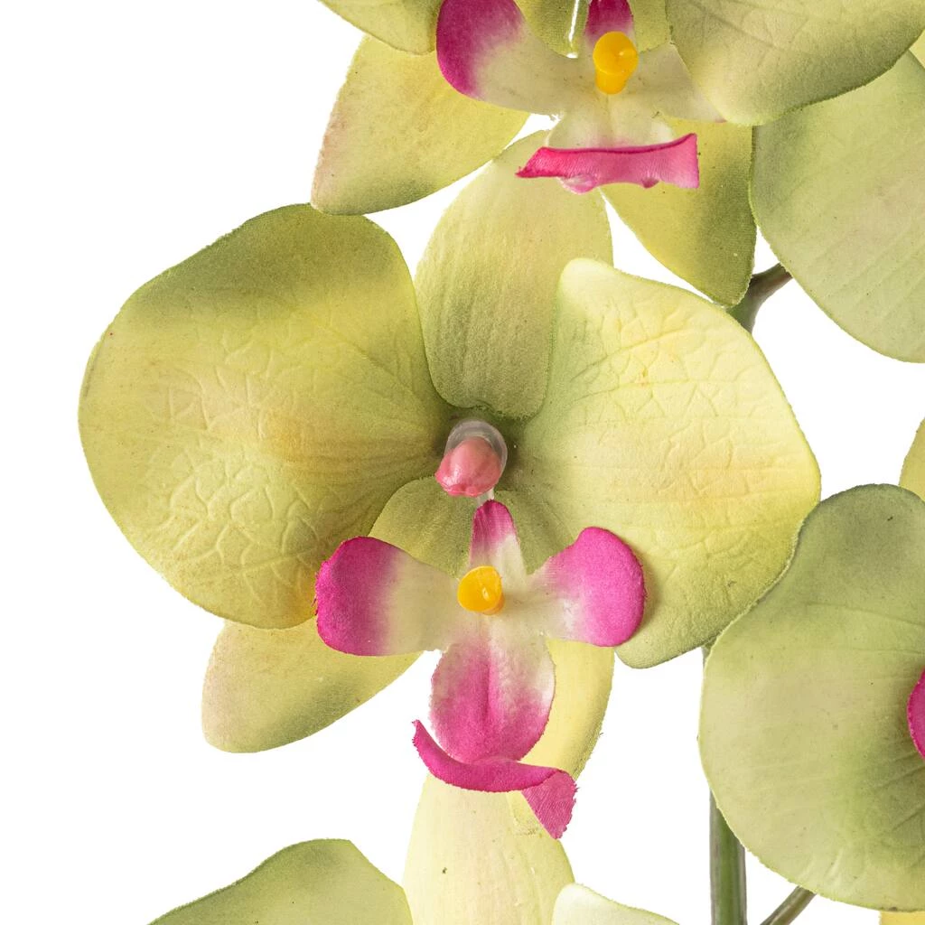 Top 10 π― 12 Pack: Green & Pink Orchid Spray by Ashland® π 6 Top 10 π― 12 Pack: Green & Pink Orchid Spray by Ashland® π - Image 4