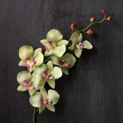 Top 10 π― 12 Pack: Green & Pink Orchid Spray by Ashland® π 8 Top 10 π― 12 Pack: Green & Pink Orchid Spray by Ashland® π -Ashland Sales MP459035 22