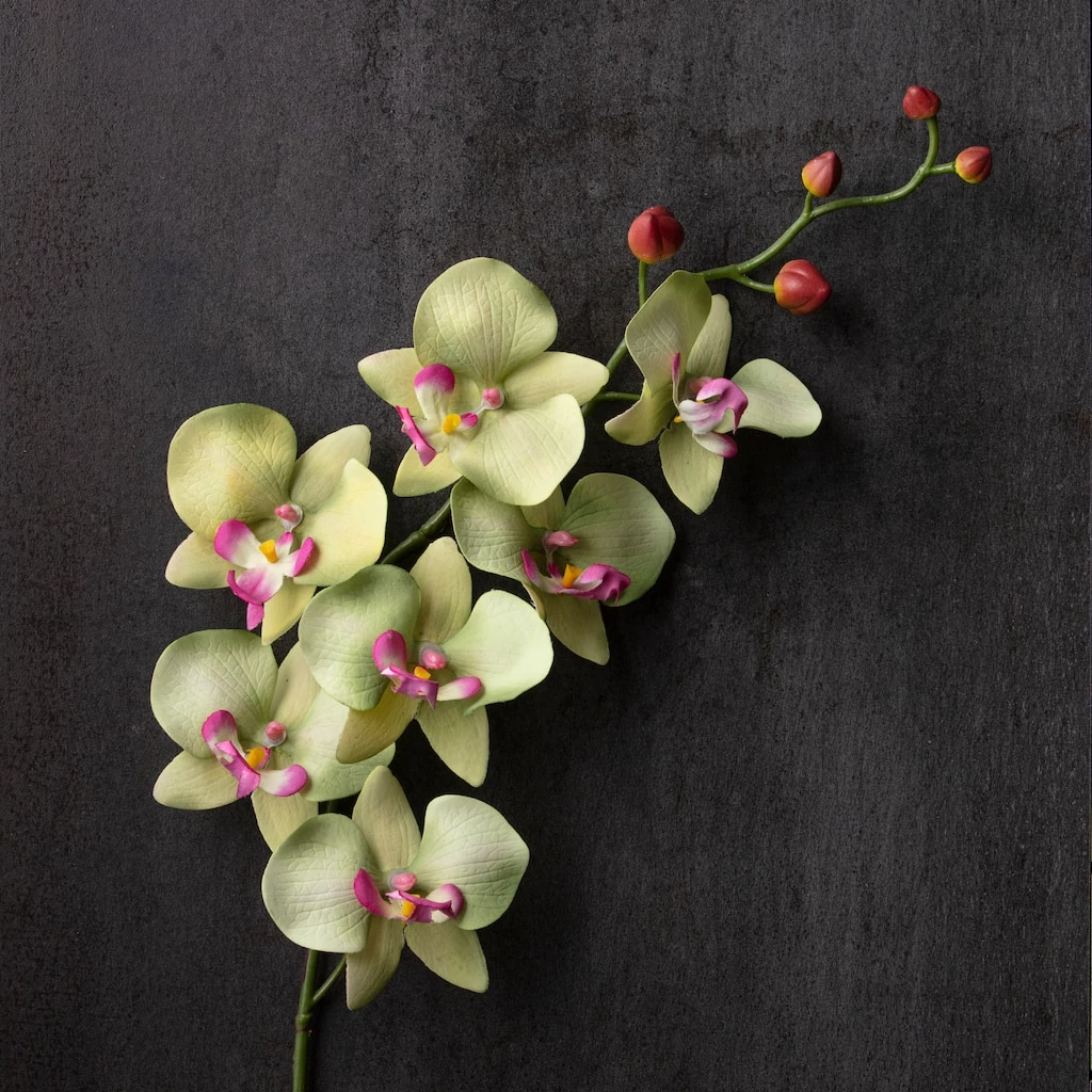 Top 10 π― 12 Pack: Green & Pink Orchid Spray by Ashland® π 5 Top 10 π― 12 Pack: Green & Pink Orchid Spray by Ashland® π - Image 3