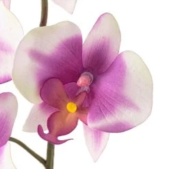 Coupon ⌛ 12 Pack: Pink & White Orchid Spray by Ashland® 😀 -Ashland Sales MP459037 20
