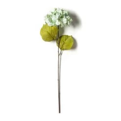 Brand new ⌛ 12 Pack: Seafoam Green Hydrangea Stem by Ashland® 🔥 -Ashland Sales MP461200 21