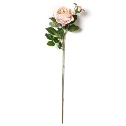 Flash Sale 😍 12 Pack: Light Pink English Rose Stem by Ashland® 👏 -Ashland Sales MP461605 21