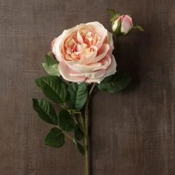 Flash Sale 😍 12 Pack: Light Pink English Rose Stem by Ashland® 👏 -Ashland Sales MP461605 25