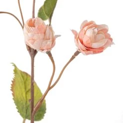 Deals 🛒 12 Pack: Blush Hops Stem by Ashland® 👏 -Ashland Sales MP461606 20