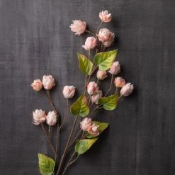 Deals 🛒 12 Pack: Blush Hops Stem by Ashland® 👏 -Ashland Sales MP461606 22