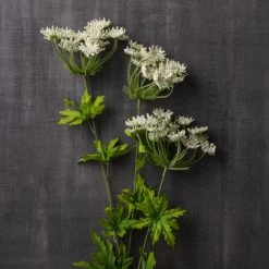 Flash Sale ✨ 12 Pack: White Queen Anne's Lace Spray by Ashland® ✨ -Ashland Sales MP461649 22