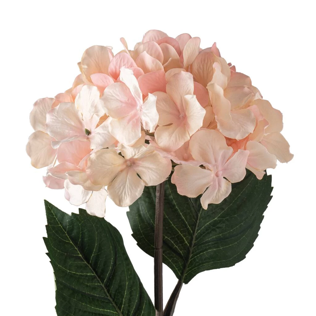 Promo ⭐ 12 Pack: Peach Pink Hydrangea Stem by Ashland® 👏 6 Promo ⭐ 12 Pack: Peach Pink Hydrangea Stem by Ashland® 👏 - Image 4