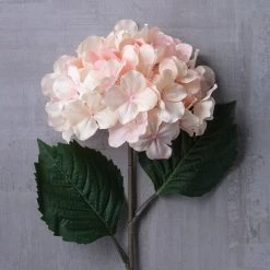Promo ⭐ 12 Pack: Peach Pink Hydrangea Stem by Ashland® 👏 13 Promo ⭐ 12 Pack: Peach Pink Hydrangea Stem by Ashland® 👏 -Ashland Sales MP461651 22