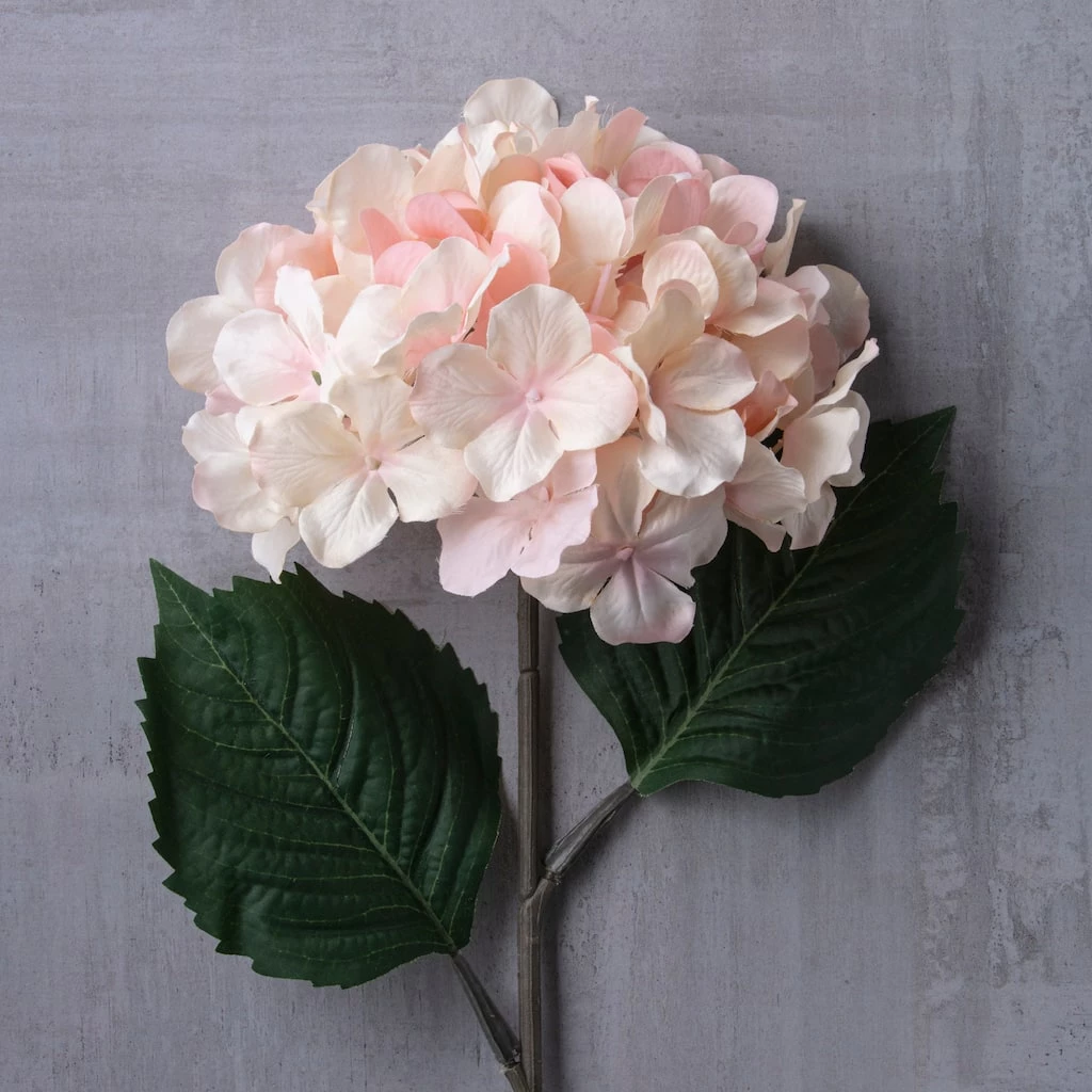 Promo ⭐ 12 Pack: Peach Pink Hydrangea Stem by Ashland® 👏 8 Promo ⭐ 12 Pack: Peach Pink Hydrangea Stem by Ashland® 👏 - Image 6