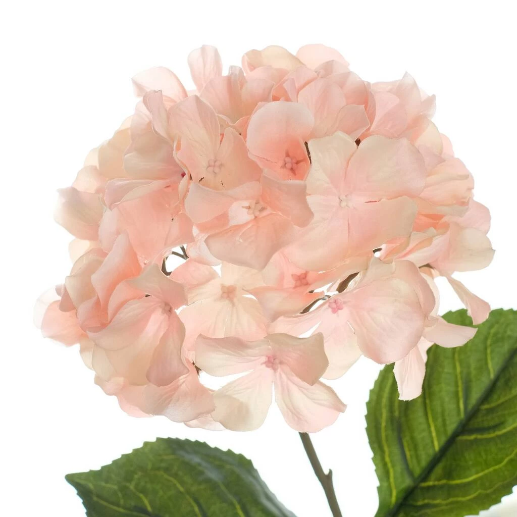 Promo ⭐ 12 Pack: Peach Pink Hydrangea Stem by Ashland® 👏 4 Promo ⭐ 12 Pack: Peach Pink Hydrangea Stem by Ashland® 👏 - Image 2