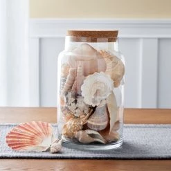 Discount ⌛ 12 Pack: 9" Terrarium Jar with Cork by Ashland® ⌛ -Ashland Sales MP466880 20