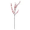 Discount 😍 12 Pack: Pink Peach Blossom Stem by Ashland® 🎉 -Ashland Sales MP468899 1