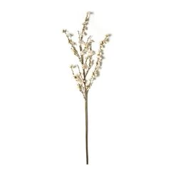 Buy ❤️ 12 Pack: Cream Peach Blossom Stem by Ashland® 🔥 -Ashland Sales MP468902 21