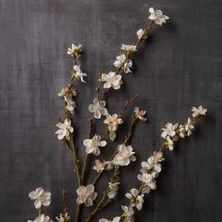 Buy ❤️ 12 Pack: Cream Peach Blossom Stem by Ashland® 🔥 -Ashland Sales MP468902 22