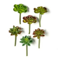 Discount 🤩 12 Pack: Assorted Snap-On Succulent Pick by Ashland® 💯 9 Discount 🤩 12 Pack: Assorted Snap-On Succulent Pick by Ashland® 💯 -Ashland Sales MP482105 21