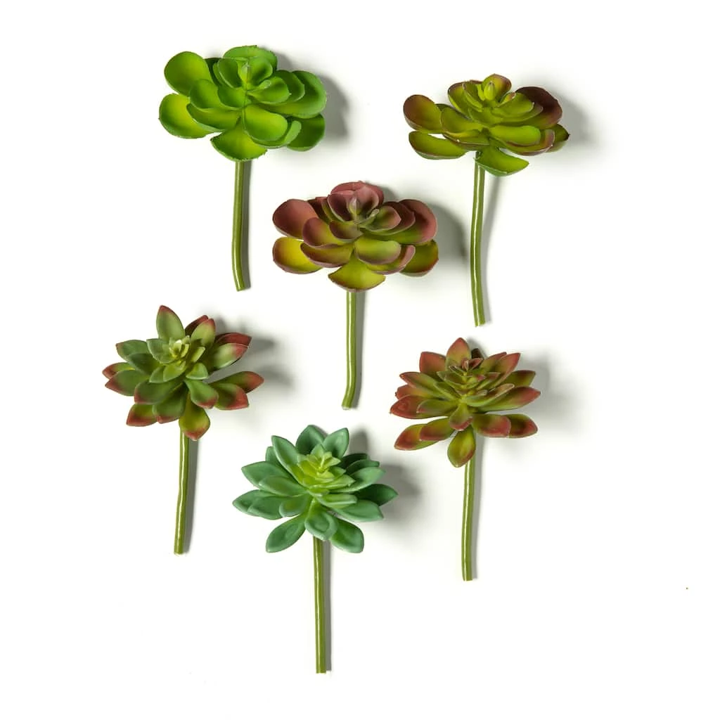 Discount 🤩 12 Pack: Assorted Snap-On Succulent Pick by Ashland® 💯 6 Discount 🤩 12 Pack: Assorted Snap-On Succulent Pick by Ashland® 💯 - Image 4
