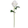 Best reviews of βοΈ 12 Pack: White Faux Rose by Ashland® β¨ 2 Best reviews of βοΈ 12 Pack: White Faux Rose by Ashland® β¨ -Ashland Sales MP501466 1