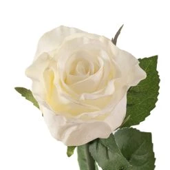 Best reviews of ✔️ 12 Pack: White Faux Rose by Ashland® ✨ -Ashland Sales MP501466 20